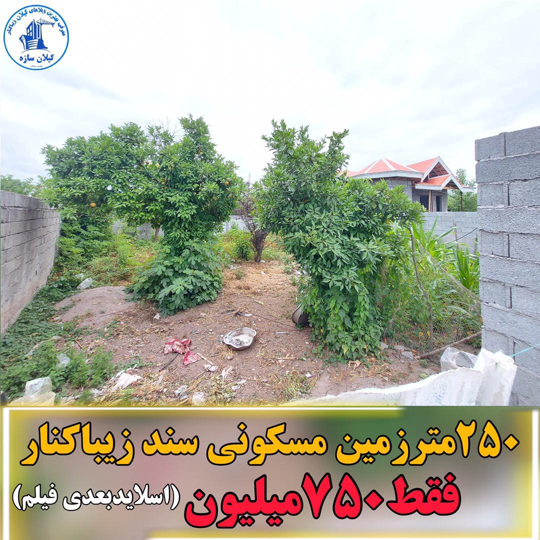 زمین مسکونی سنددار زیباکنار