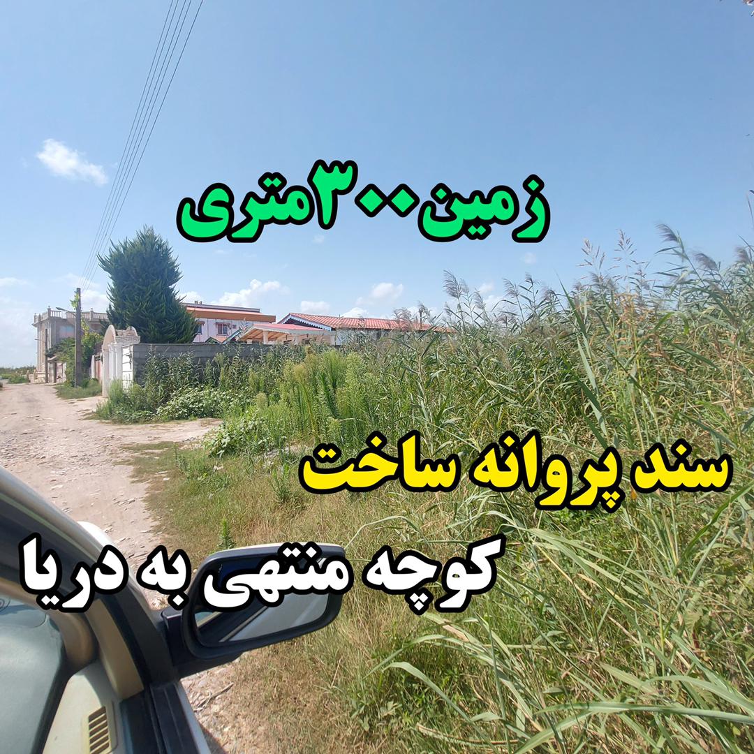 زمین پروانه دار زیباکنار