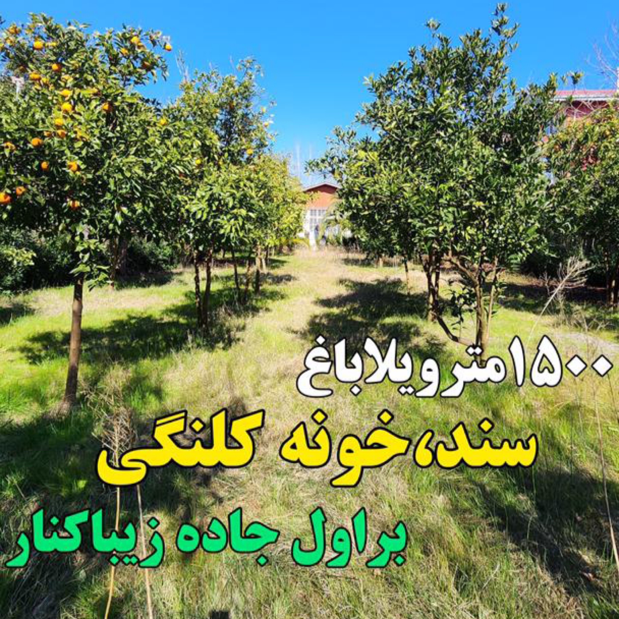 ویلا باغ زیباکنار