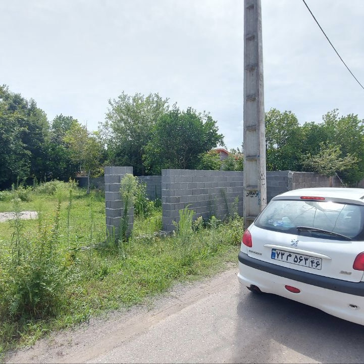 زمین پروانه دار ساحلی