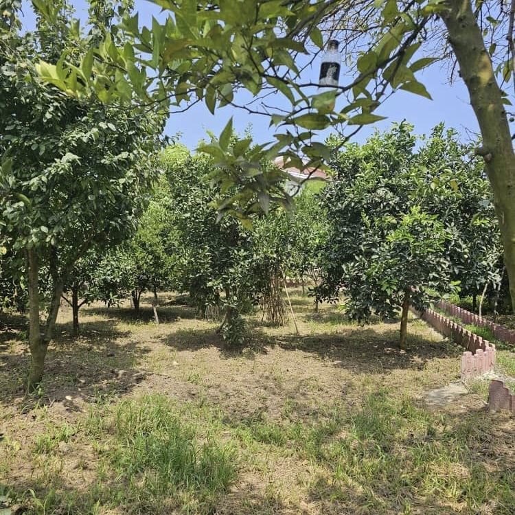 ویلاباغ زیباکنار