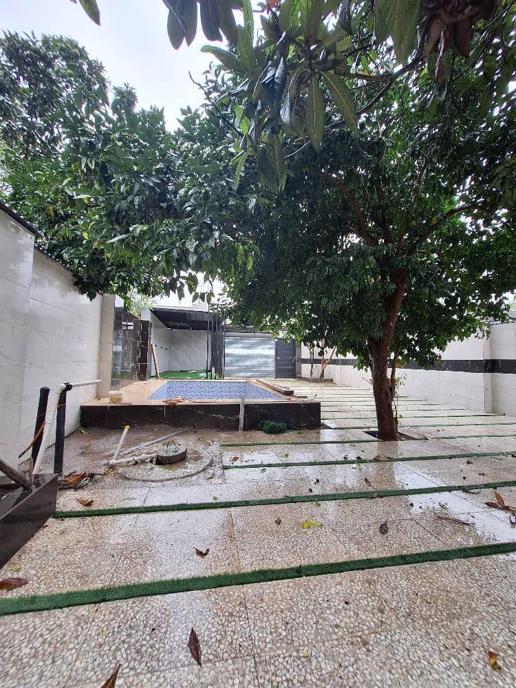 مدرن استخردار