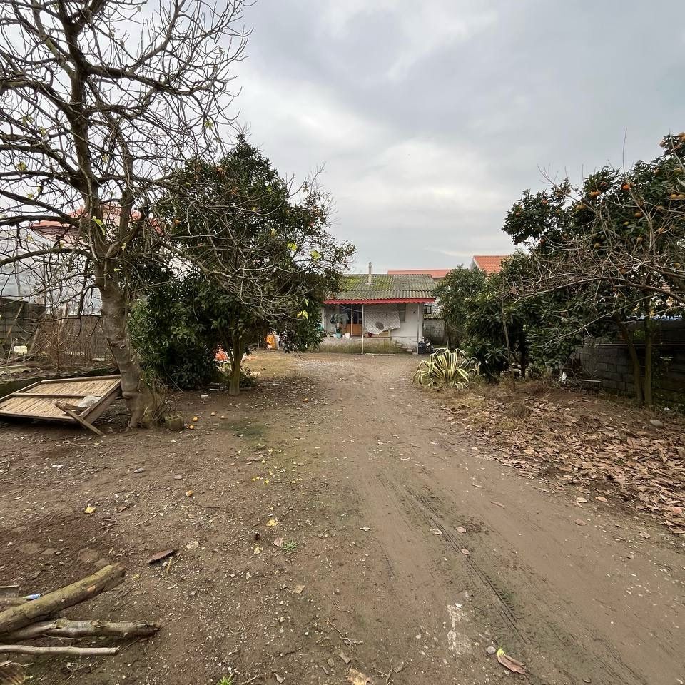 زمین شمالی زیباکنار