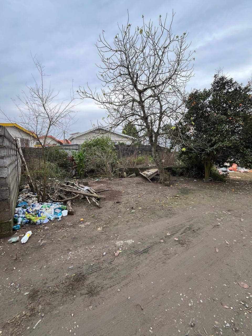 زمین شمالی زیباکنار